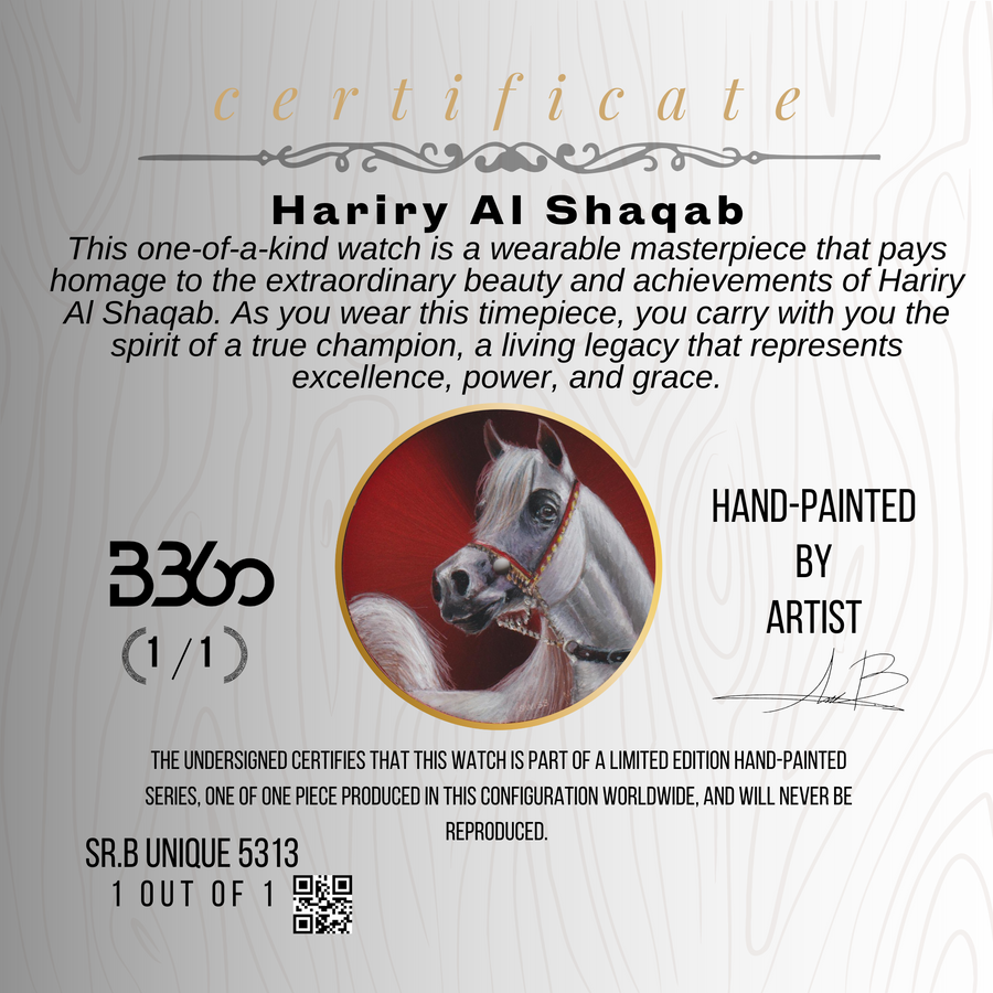 B360-unique-Hariry Al Shaqab-Hand painted-SR. 5313 (1 out of 1)