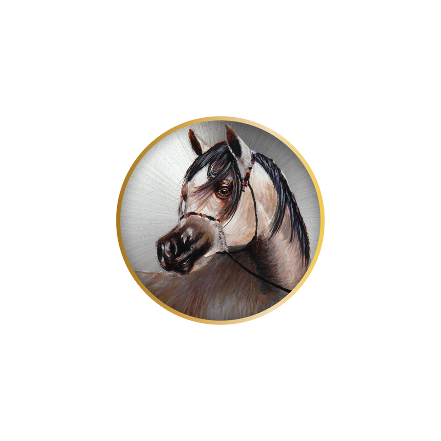 Hand-drawn B360 Arabian horse portrait named "Zephyr" with gray coat, black eyes, and ankle-black hair, part of a distinguished collection