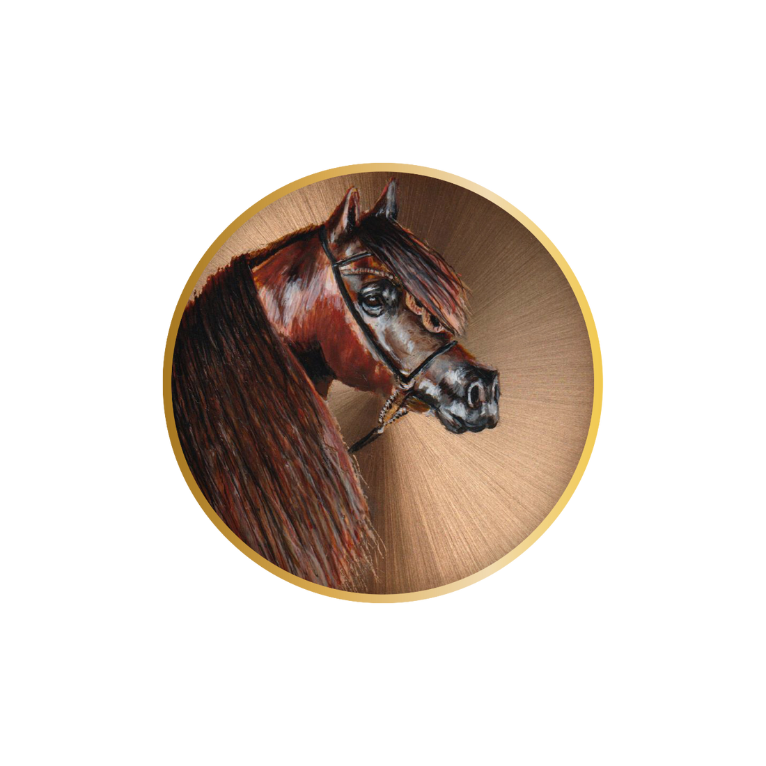Hand-drawn portrait of "Amber," a brown Arabian horse, part of a distinguished collection, captured with intricate details