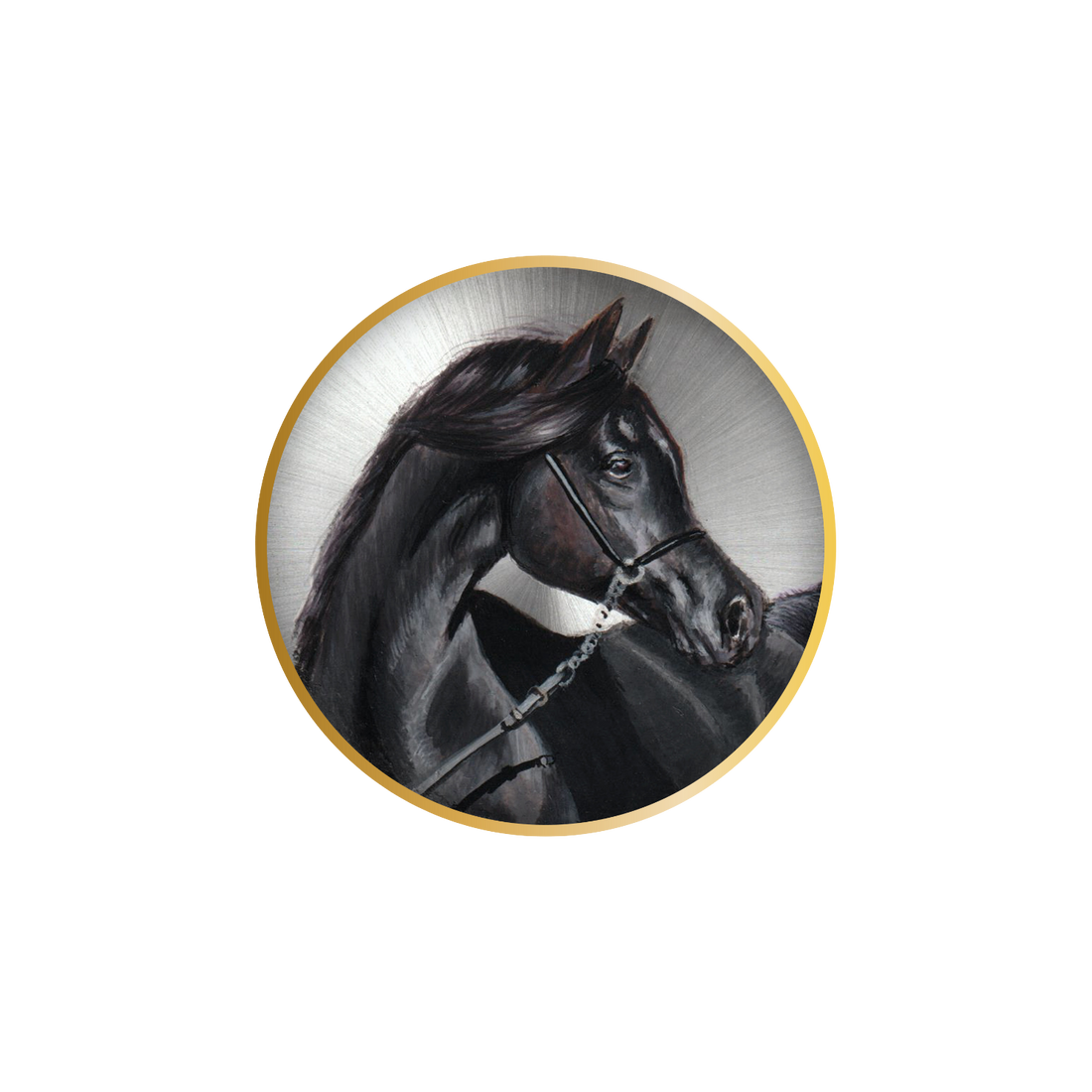 B360 watch-Majestic black Arabian horse named Al Adham, his ebony coat glistening under the moonlight, embodies the elegance and heritage of Arabian horses.