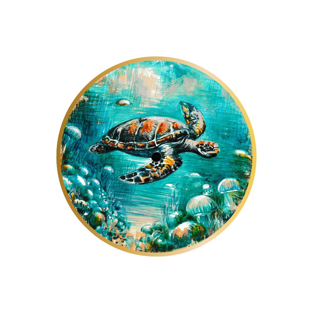 Water Jewel was not only a beautiful turtle but also intelligent and active. She enjoyed adventures in the water, exploring her aquatic world with enthusiasm. 