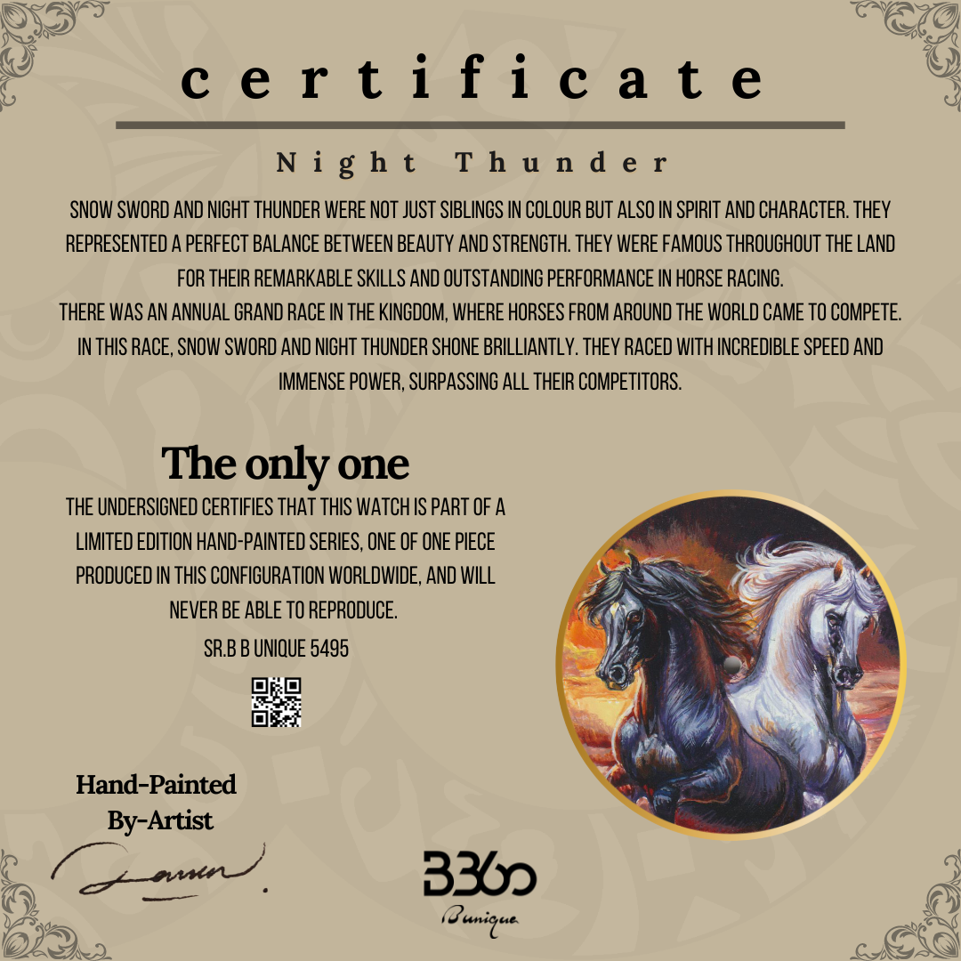 B360-unique-Hand painted-Night Thunder-SR. 5495 (1 out of 1)