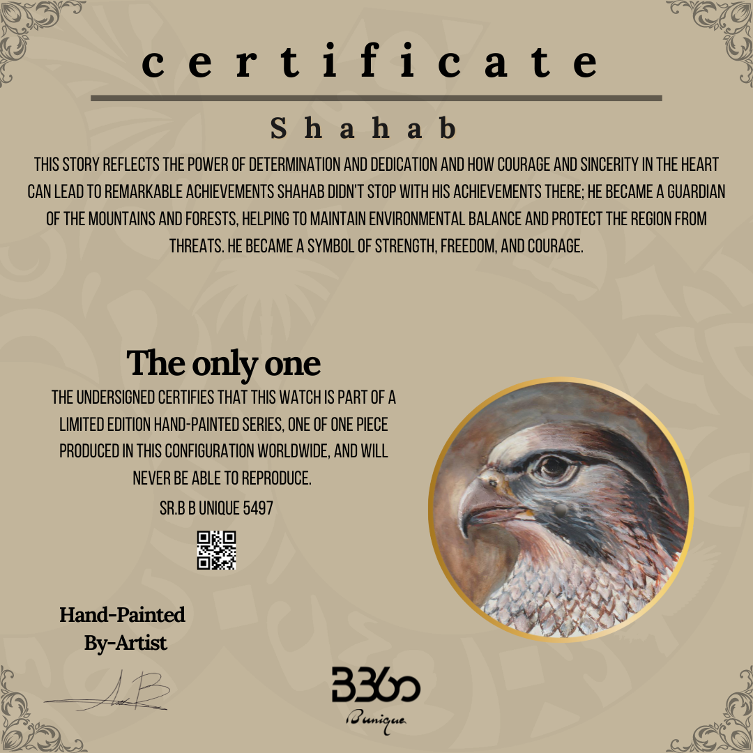 B360-unique-Hand painted-Shahab-SR. 5497 (1 out of 1)