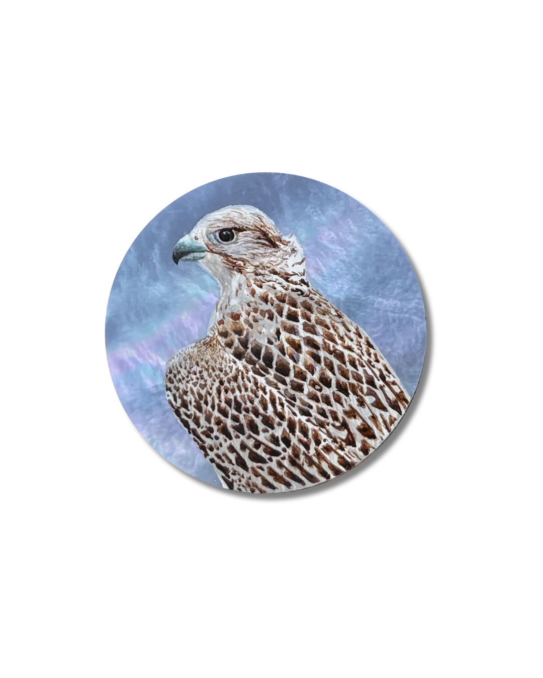 B360 – Hand Painted - Falcon of the Sky – The Only One - REF. BU0879