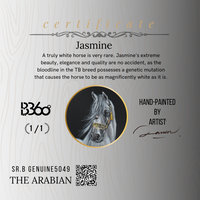  B360 WATCH-We have created over 70 hand-painted watches, one for each horse. Each watch comes with a signed certificate by our artists and is marked as 1 out of 1. Check out our Arabian Horses collections.  